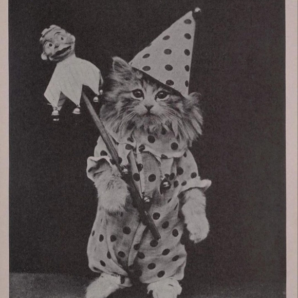 Me the Posher, J - Picture 1 of 1